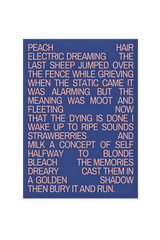 “Peach hair, electric dreaming. The last sheep jumped over the fence while grieving.”