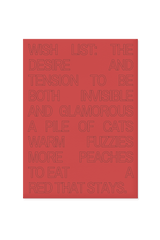 “Wish list: the desire and tension to be both invisible and glamorous.”